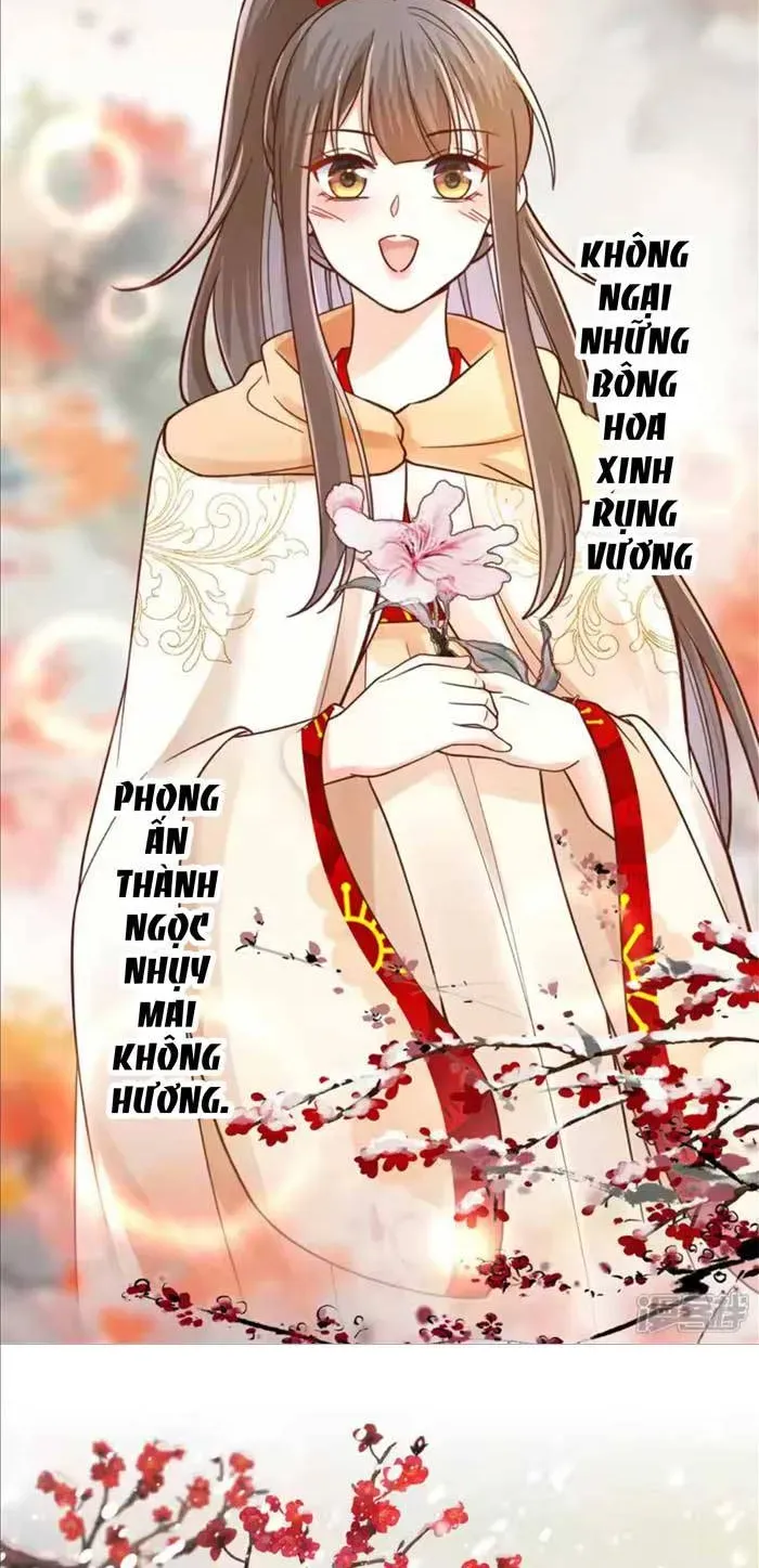 Độc Phi Trùng Sinh Báo Thù Chapter 75 - Trang 23