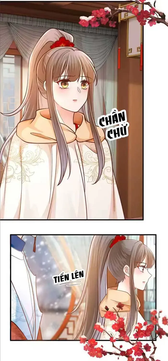 Độc Phi Trùng Sinh Báo Thù Chapter 75 - Trang 4
