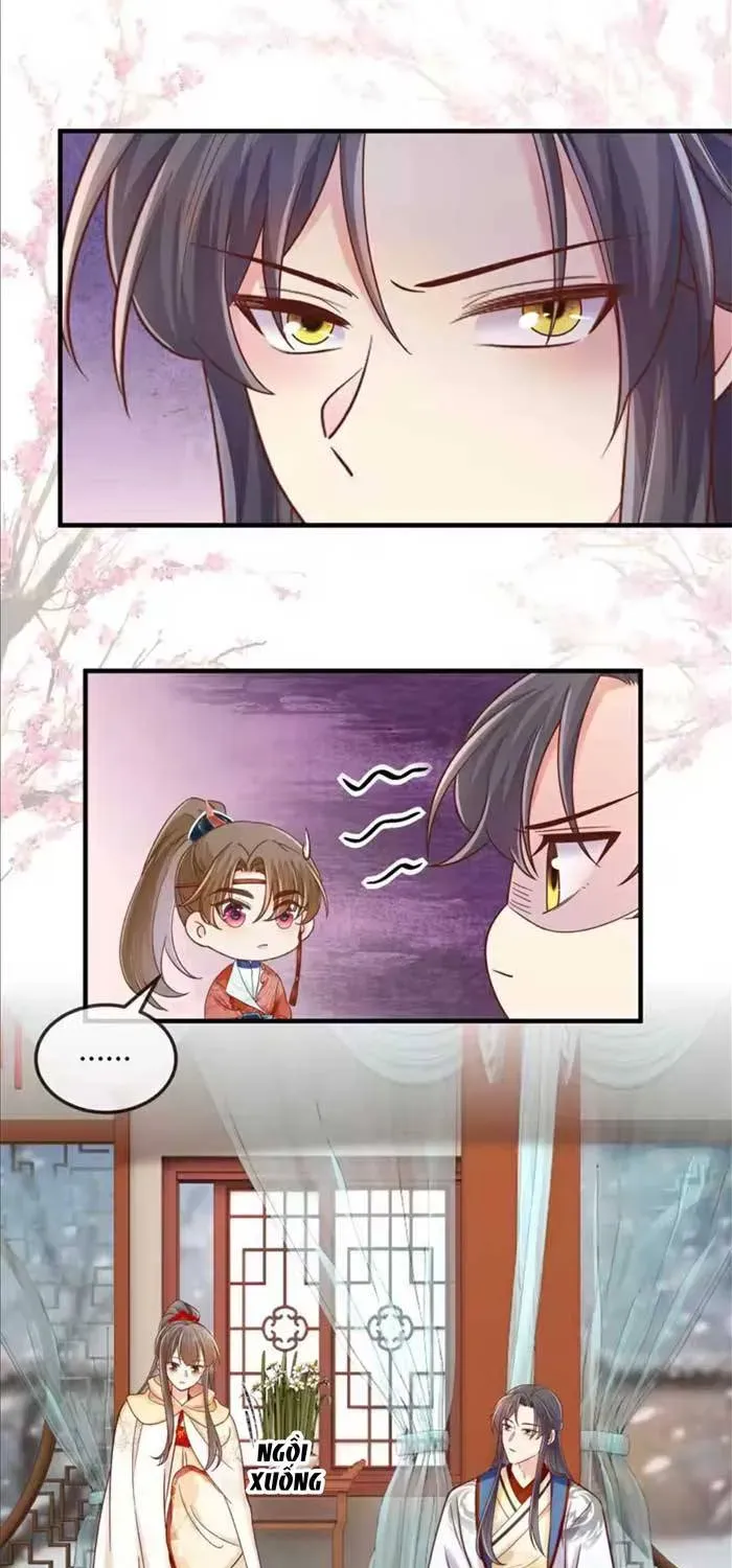 Độc Phi Trùng Sinh Báo Thù Chapter 75 - Trang 6