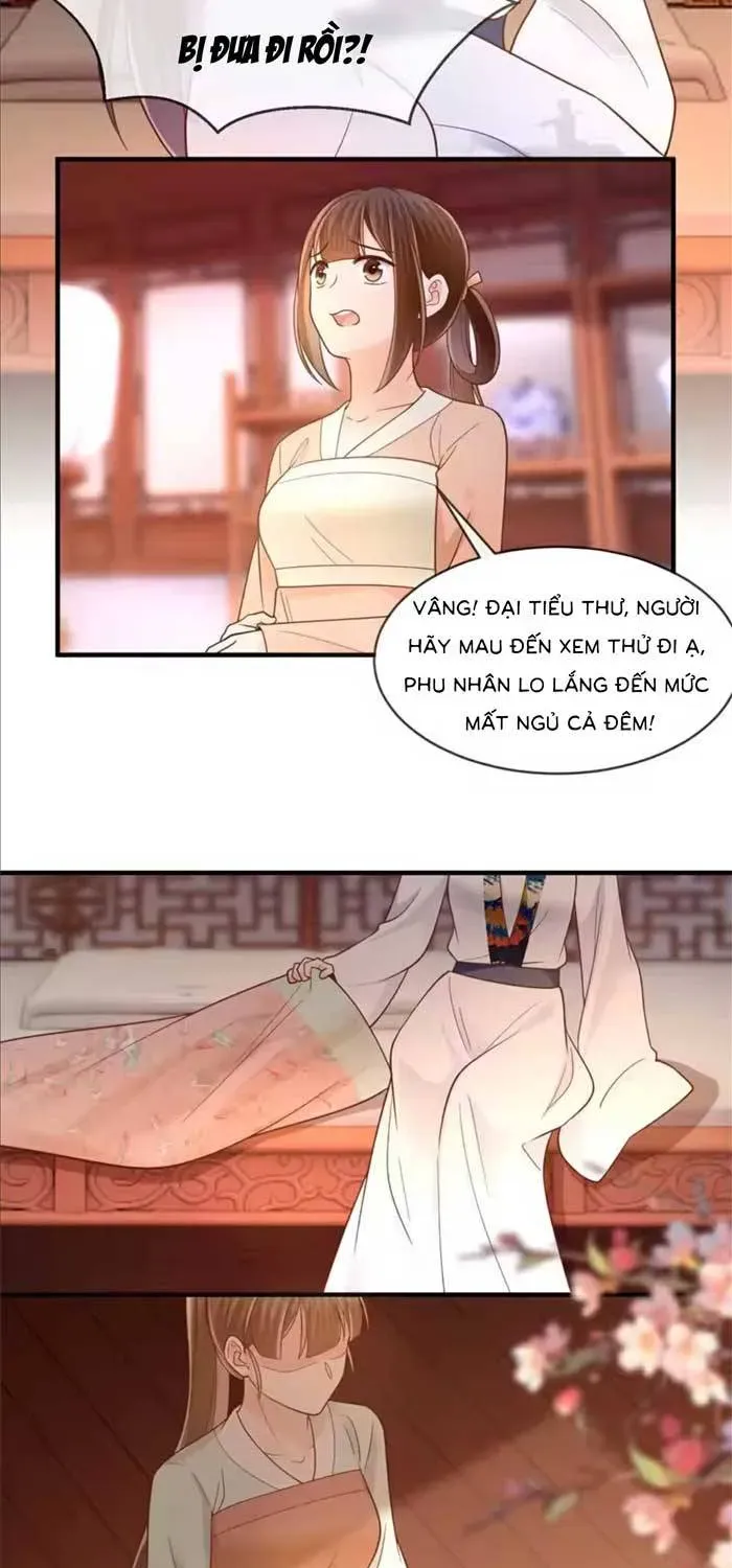 Độc Phi Trùng Sinh Báo Thù Chapter 76 - Trang 8