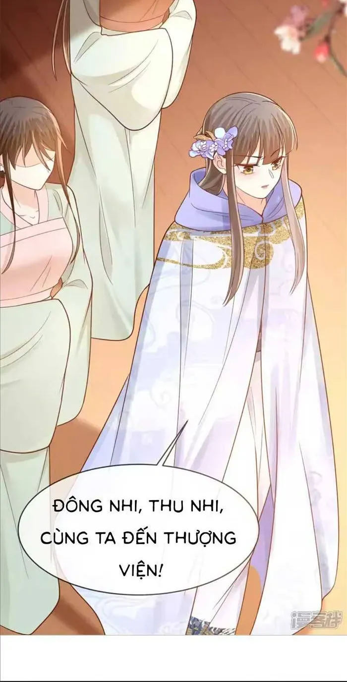 Độc Phi Trùng Sinh Báo Thù Chapter 76 - Trang 9