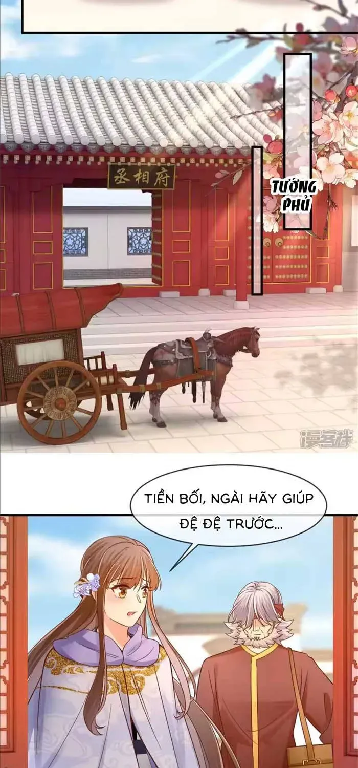 Độc Phi Trùng Sinh Báo Thù Chapter 77 - Trang 19