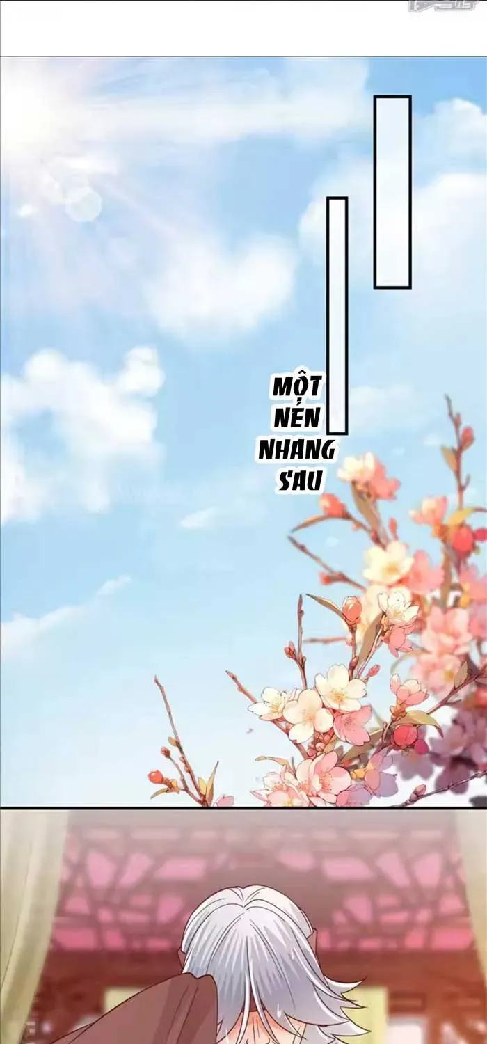 Độc Phi Trùng Sinh Báo Thù Chapter 78 - Trang 10