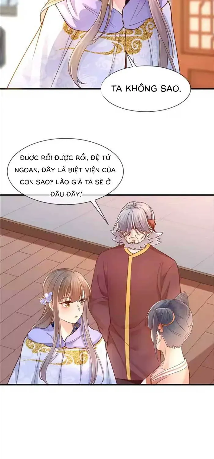Độc Phi Trùng Sinh Báo Thù Chapter 79 - Trang 3