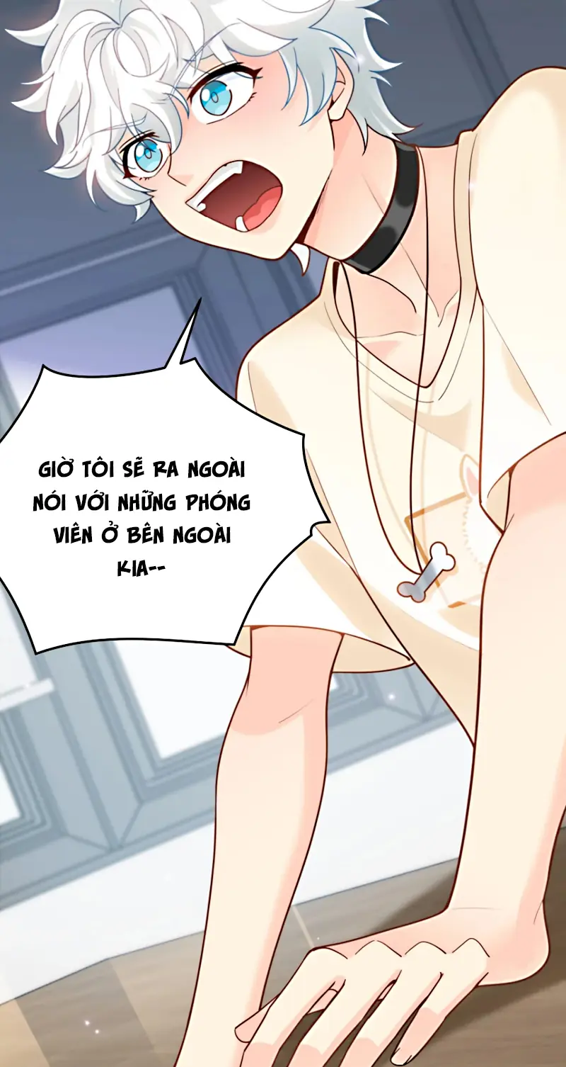 Đối Tượng Yêu Thầm Là Mèo Con Chapter 10 - Trang 20