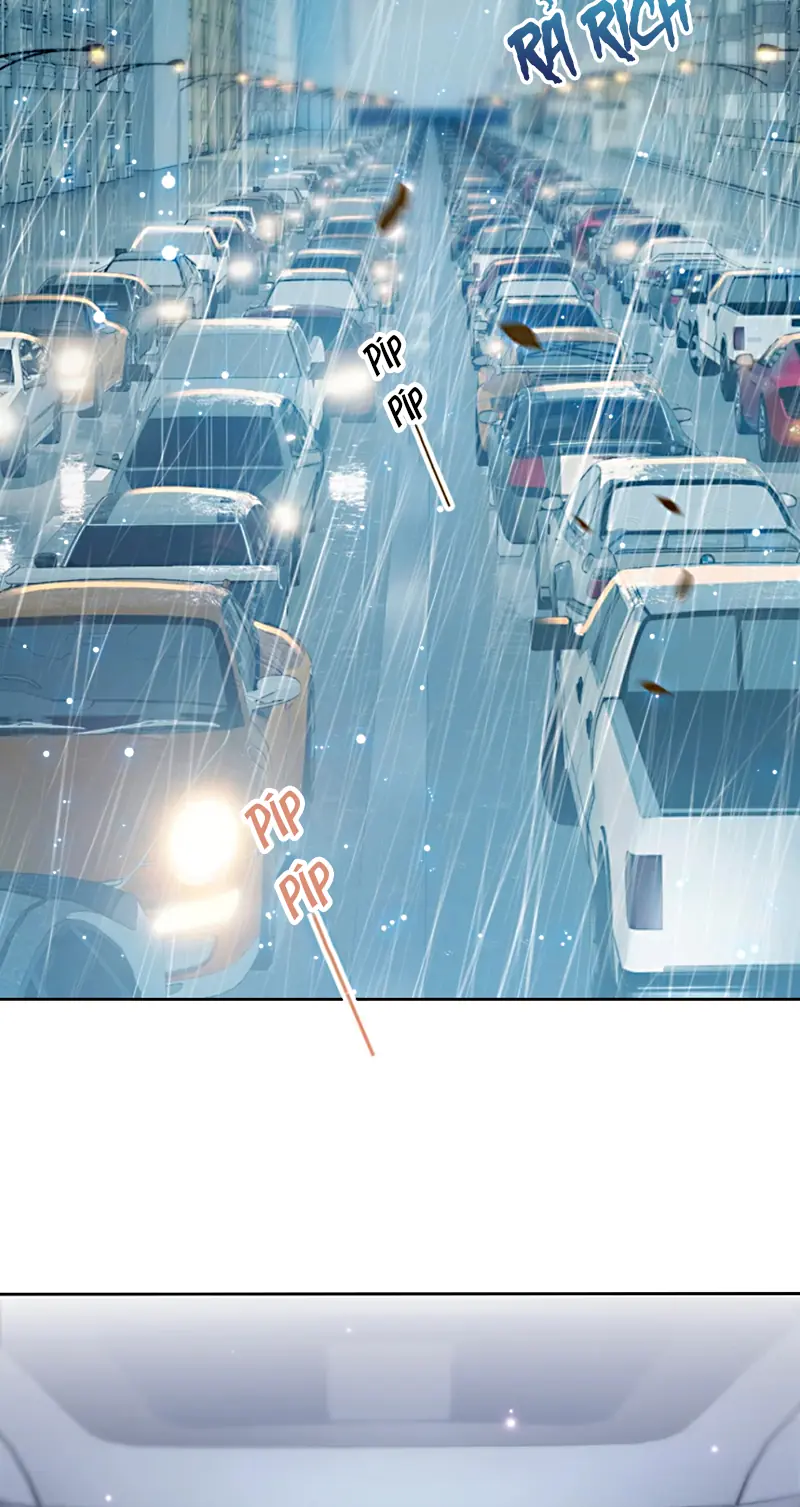 Đối Tượng Yêu Thầm Là Mèo Con Chapter 10 - Trang 29