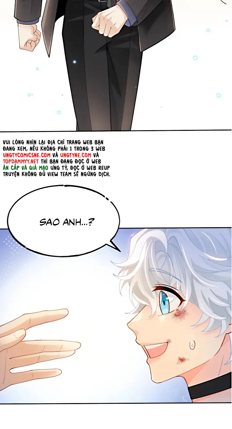 Đối Tượng Yêu Thầm Là Mèo Con Chapter 11 - Trang 11