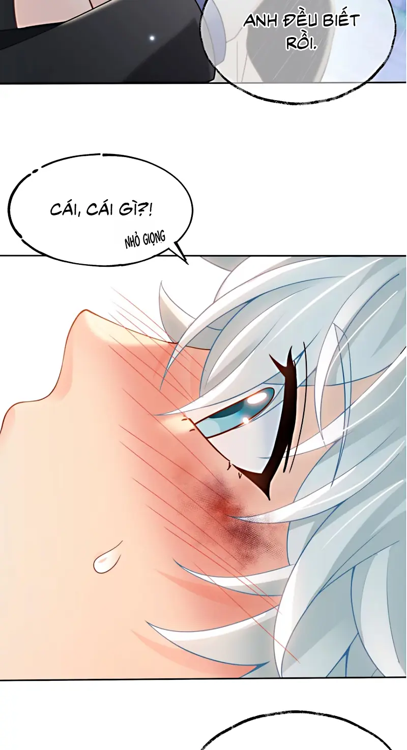 Đối Tượng Yêu Thầm Là Mèo Con Chapter 11 - Trang 17