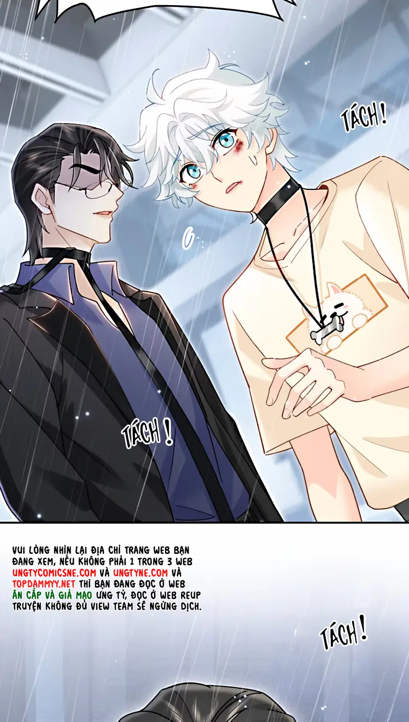 Đối Tượng Yêu Thầm Là Mèo Con Chapter 11 - Trang 25