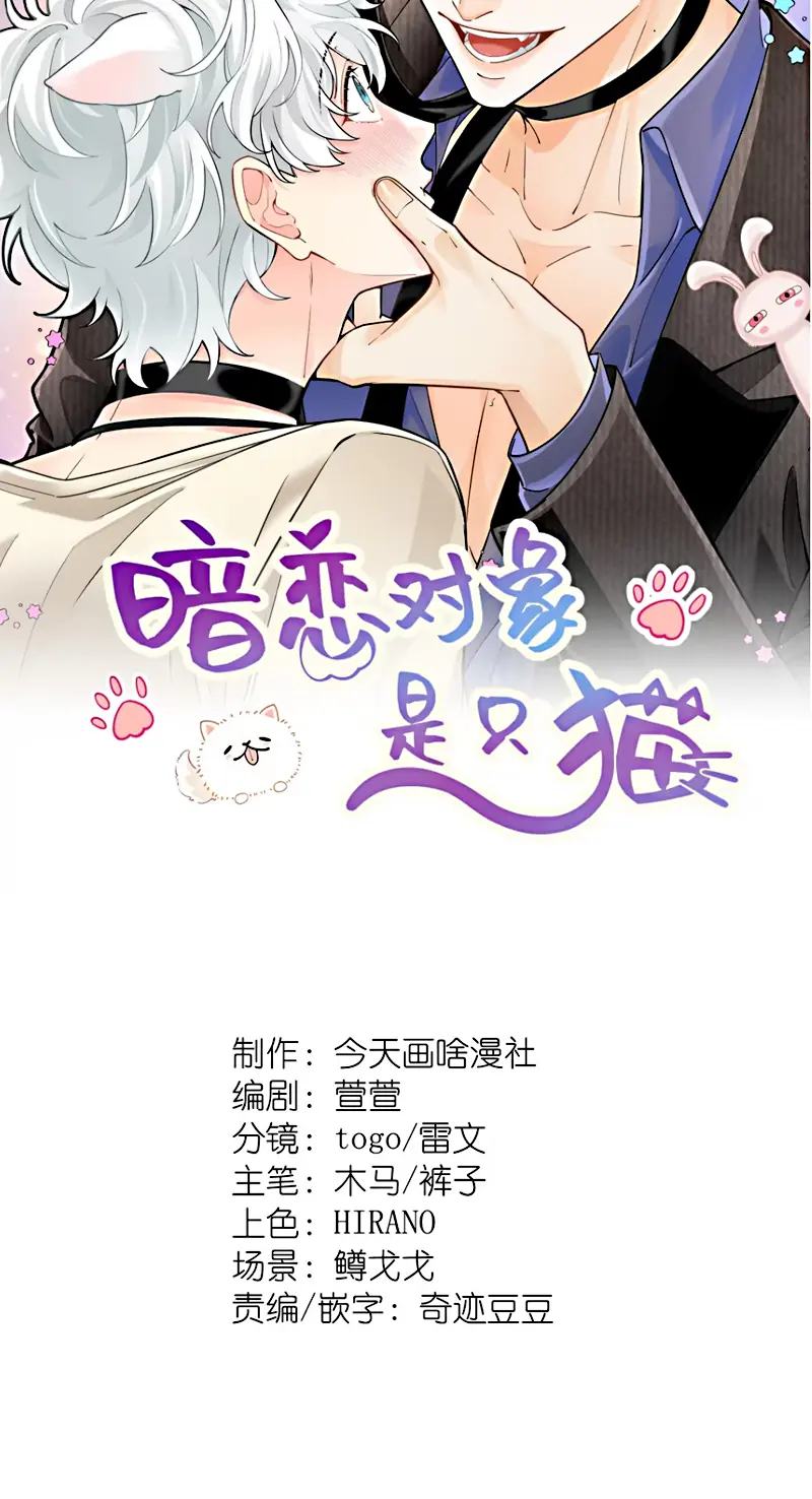 Đối Tượng Yêu Thầm Là Mèo Con Chapter 11 - Trang 3