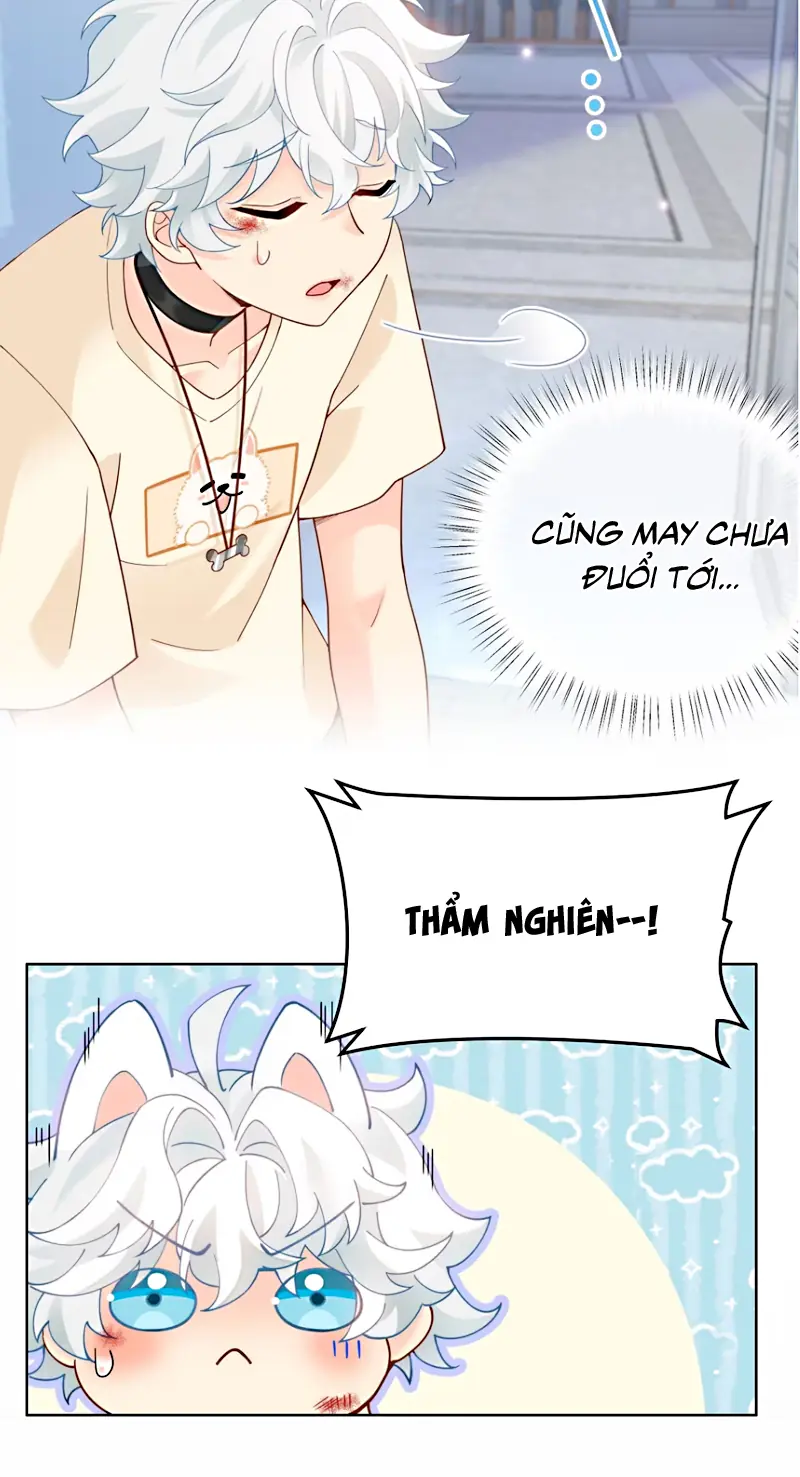 Đối Tượng Yêu Thầm Là Mèo Con Chapter 11 - Trang 8
