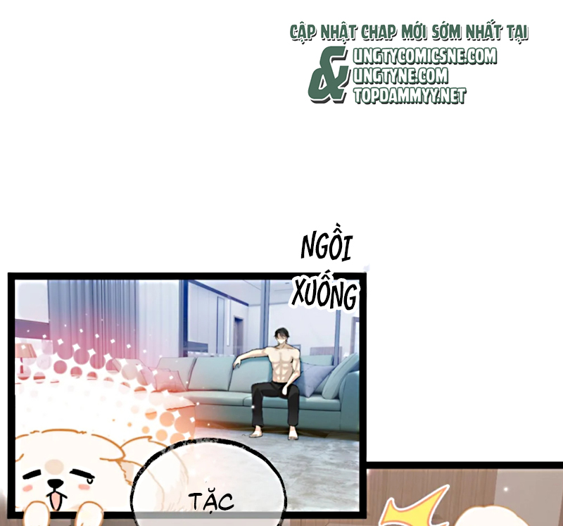 Đối Tượng Yêu Thầm Là Mèo Con Chapter 3 - Trang 35