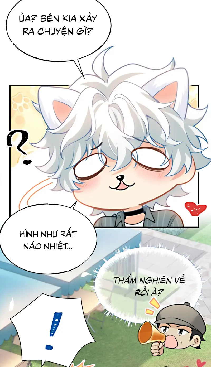 Đối Tượng Yêu Thầm Là Mèo Con Chapter 4 - Trang 17