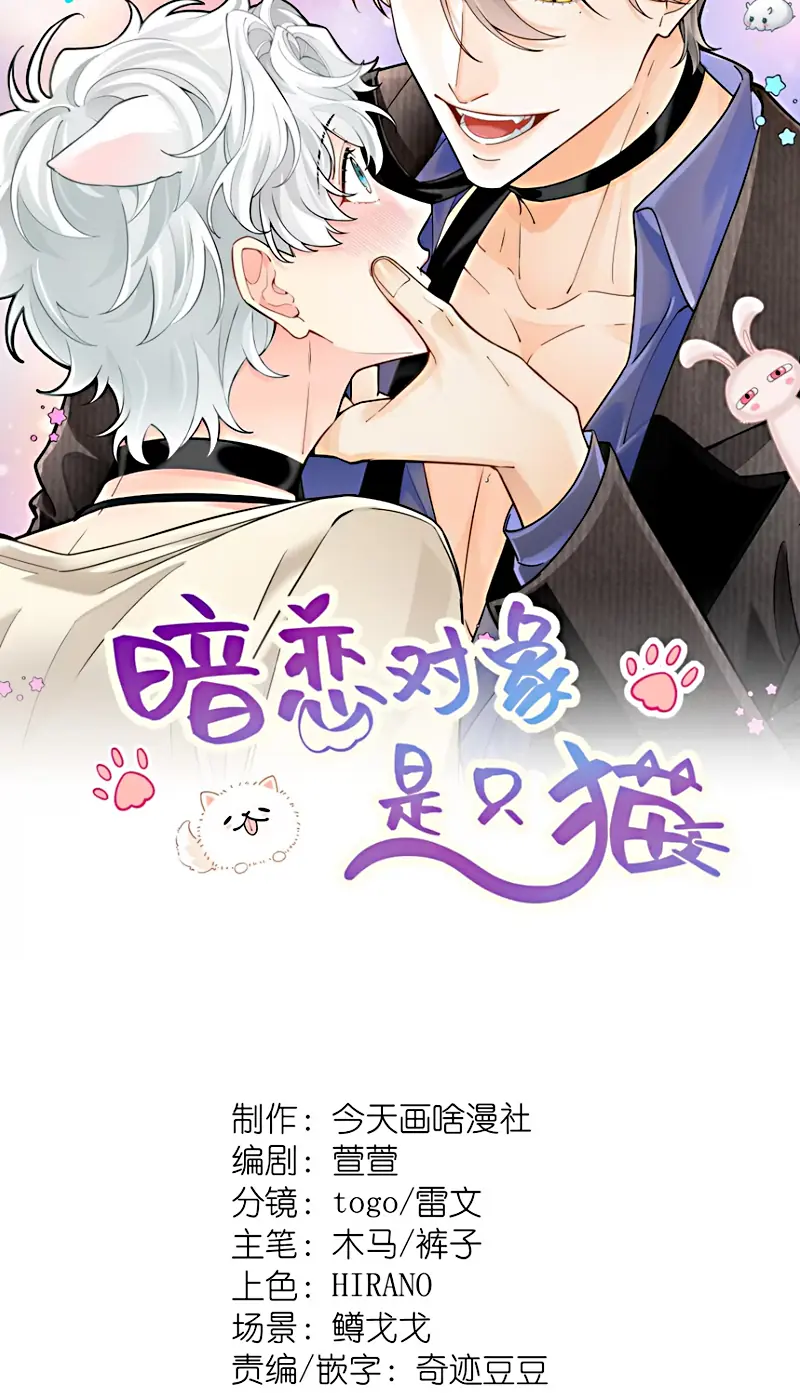 Đối Tượng Yêu Thầm Là Mèo Con Chapter 4 - Trang 3