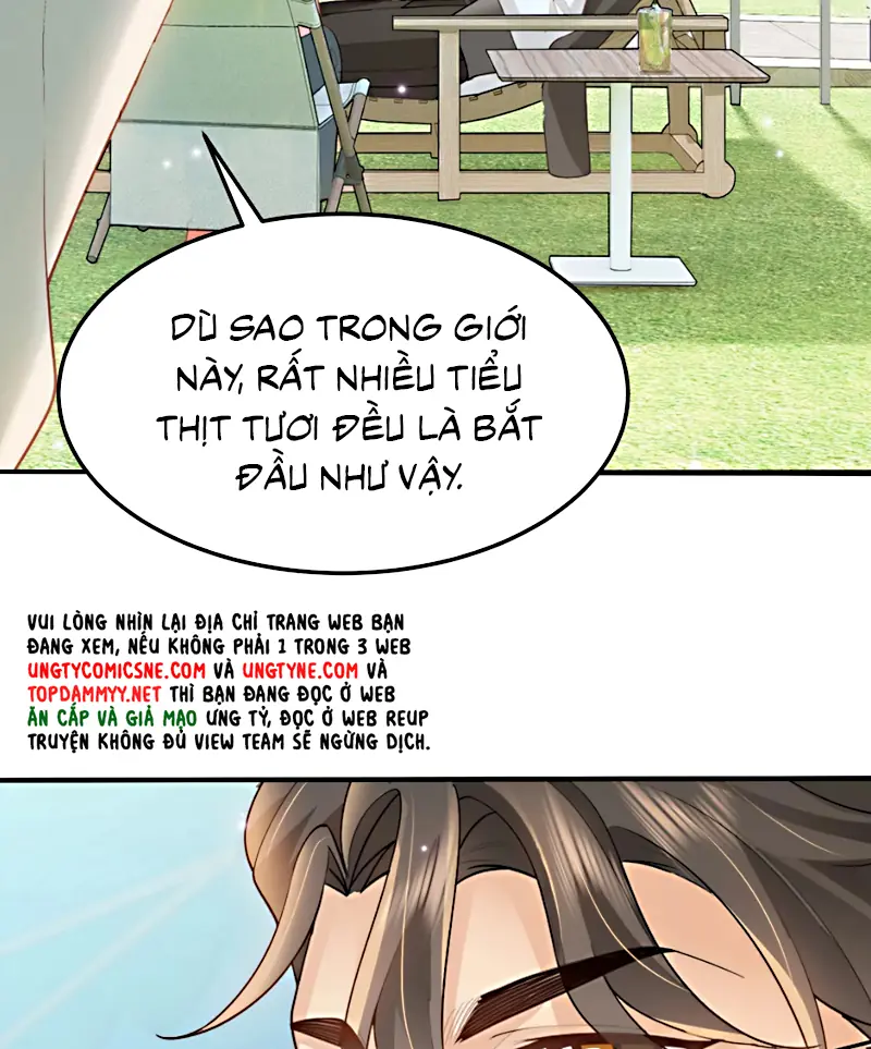 Đối Tượng Yêu Thầm Là Mèo Con Chapter 4 - Trang 36
