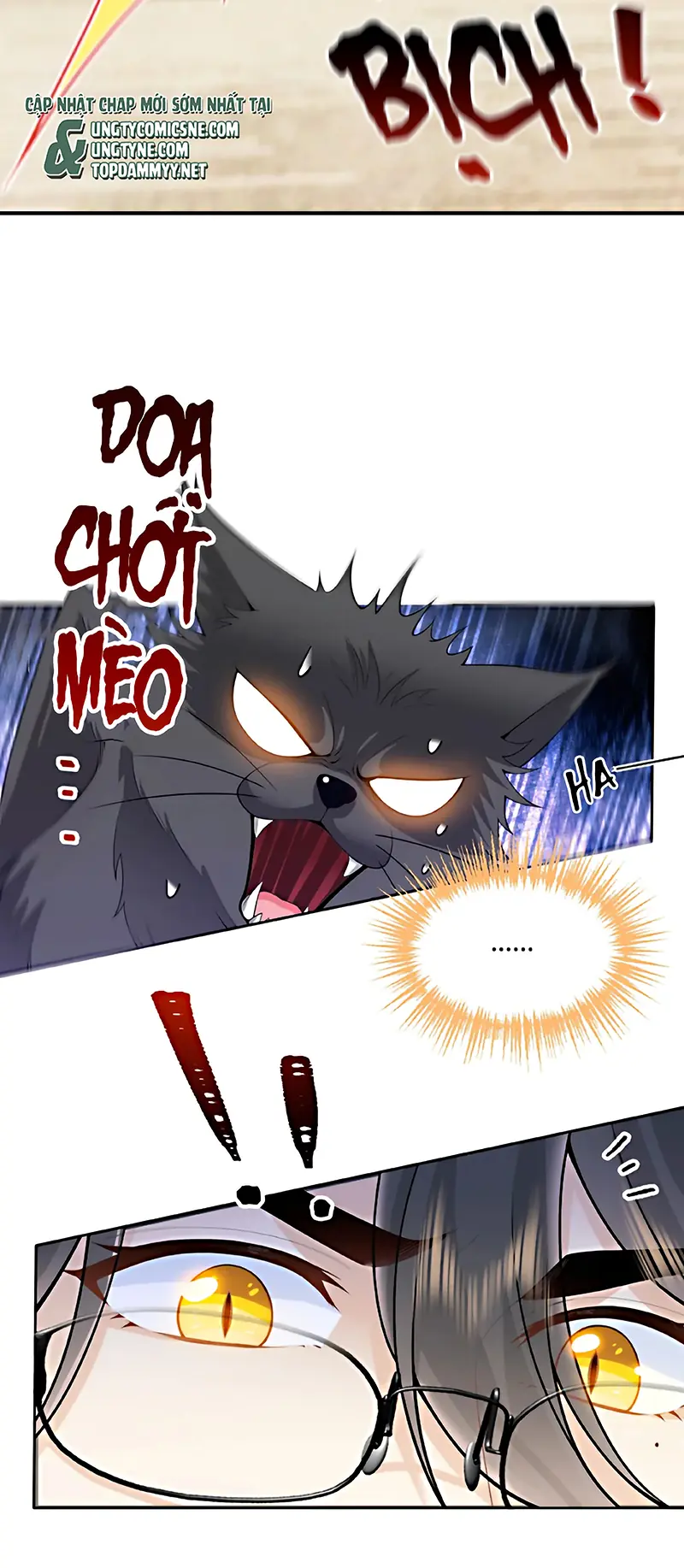 Đối Tượng Yêu Thầm Là Mèo Con Chapter 6 - Trang 8