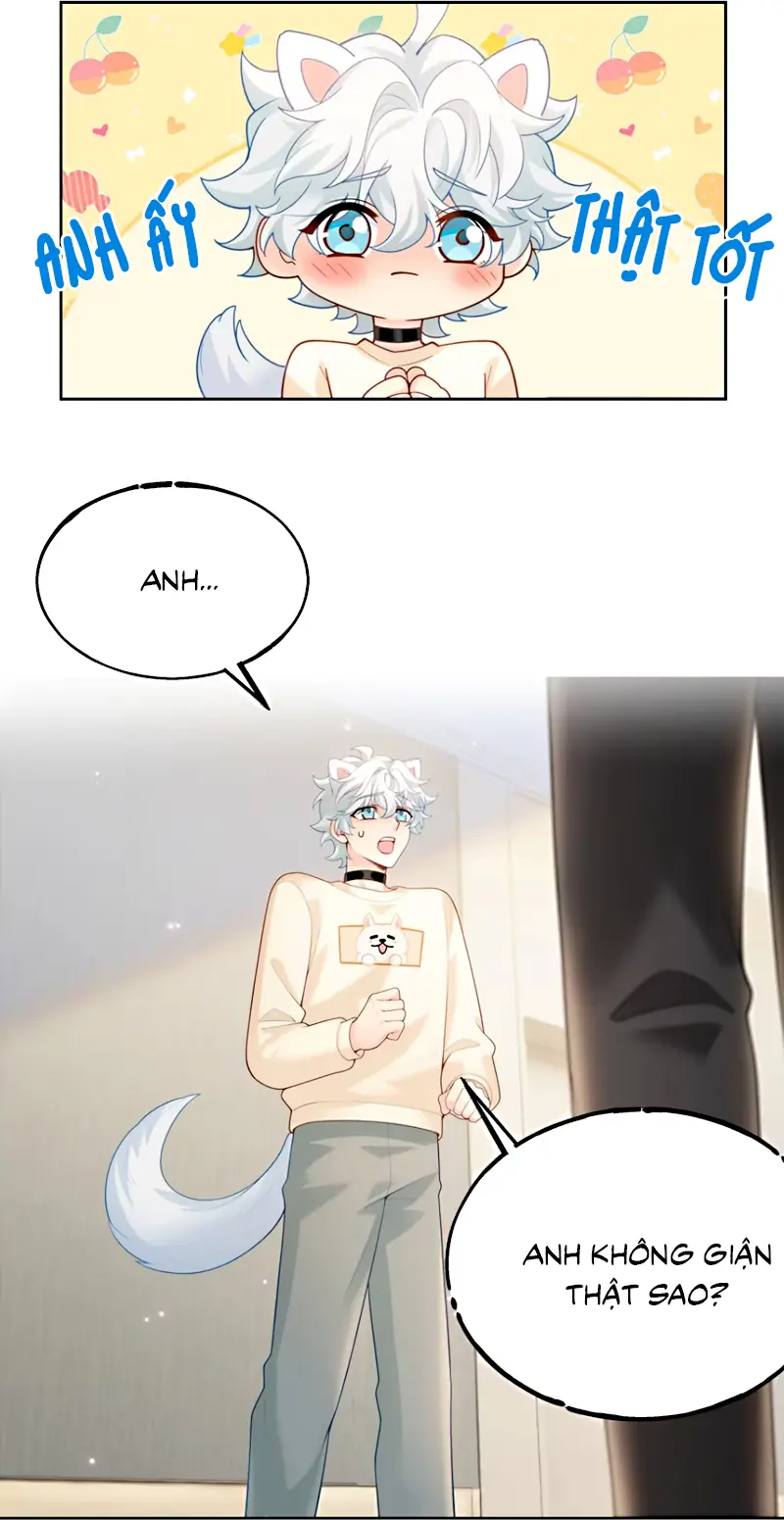 Đối Tượng Yêu Thầm Là Mèo Con Chapter 7 - Trang 8