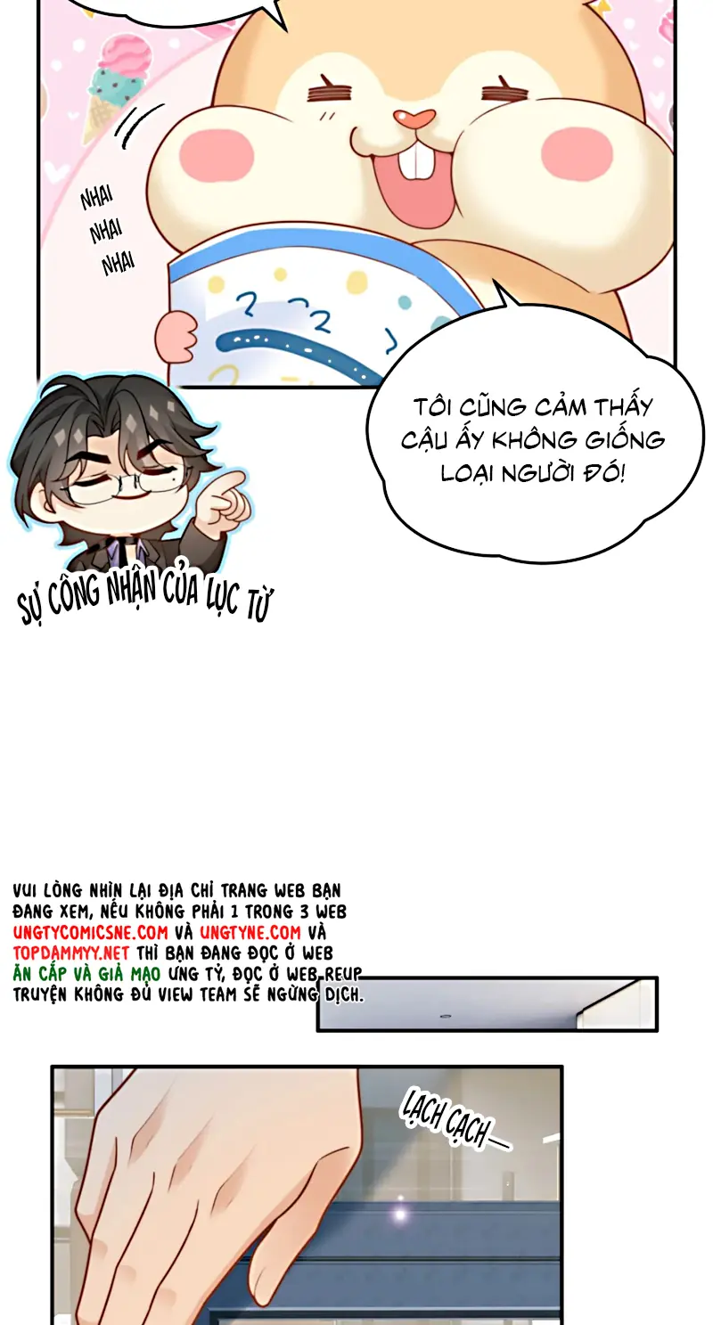 Đối Tượng Yêu Thầm Là Mèo Con Chapter 8 - Trang 15