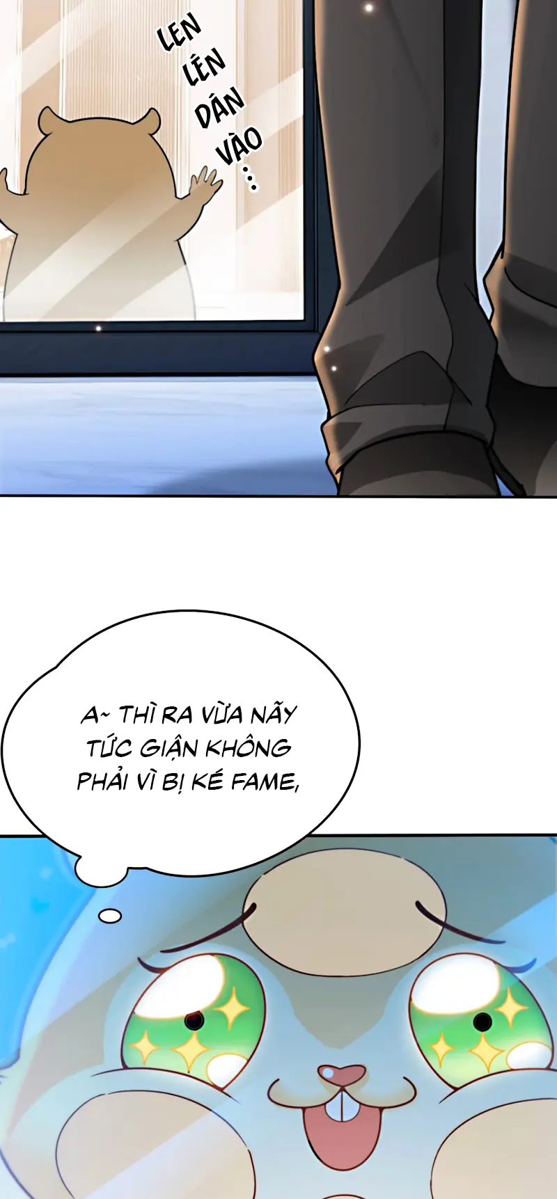 Đối Tượng Yêu Thầm Là Mèo Con Chapter 8 - Trang 19