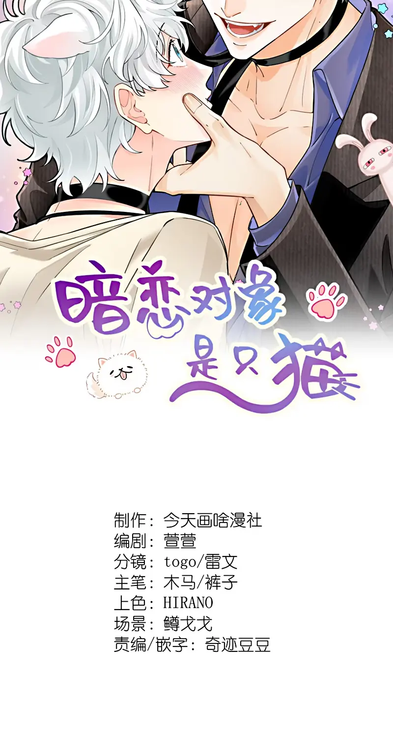 Đối Tượng Yêu Thầm Là Mèo Con Chapter 8 - Trang 3
