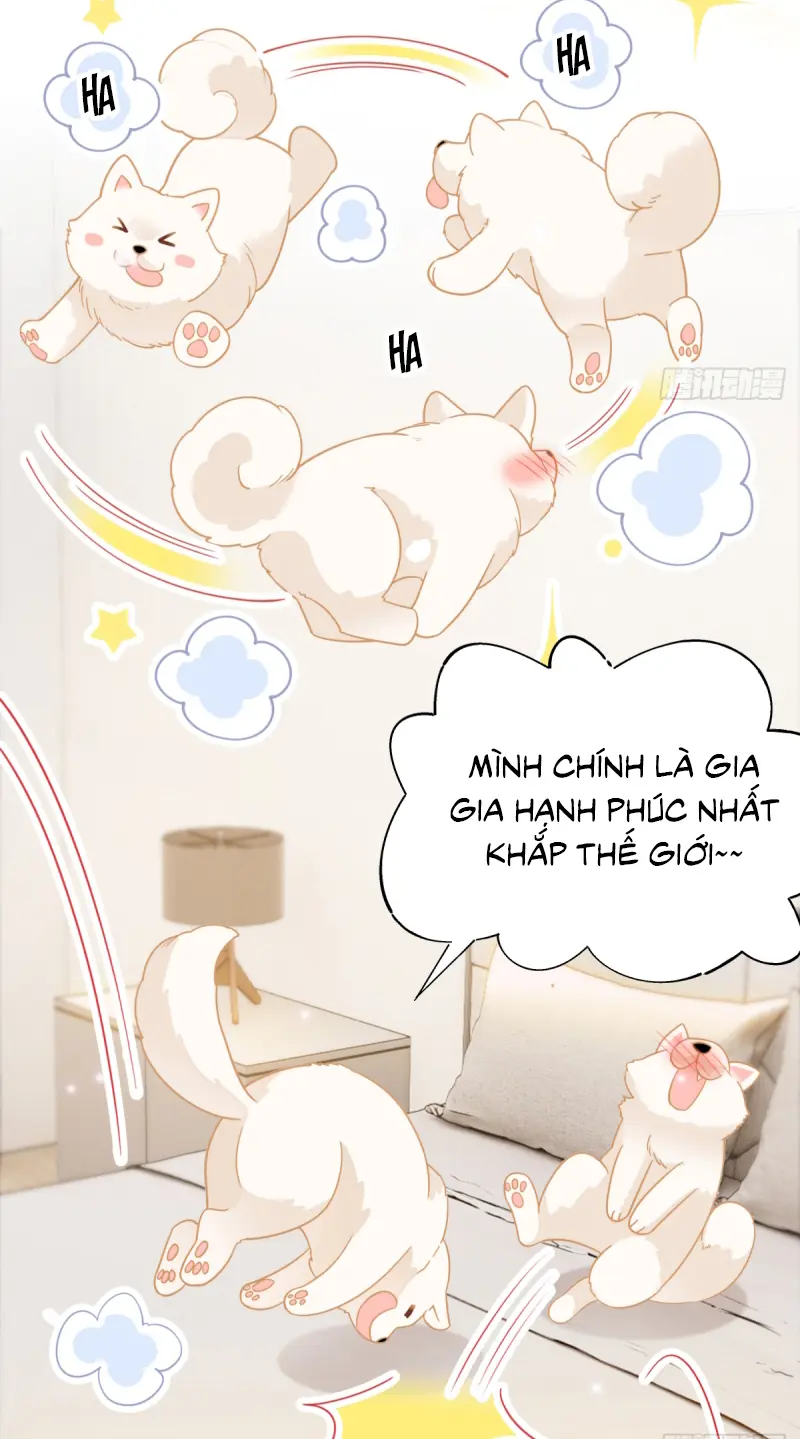 Đối Tượng Yêu Thầm Là Mèo Con Chapter 9 - Trang 18
