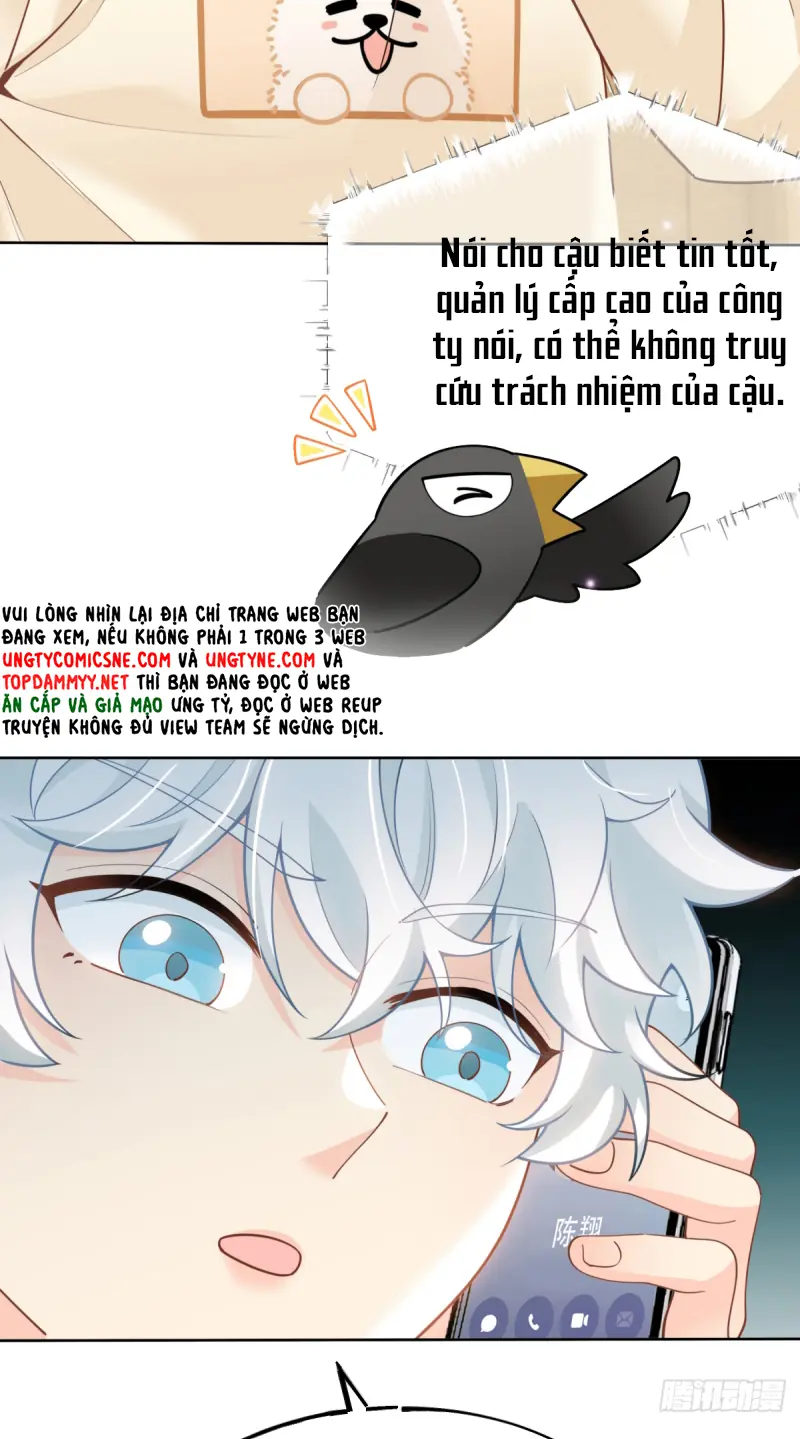Đối Tượng Yêu Thầm Là Mèo Con Chapter 9 - Trang 21
