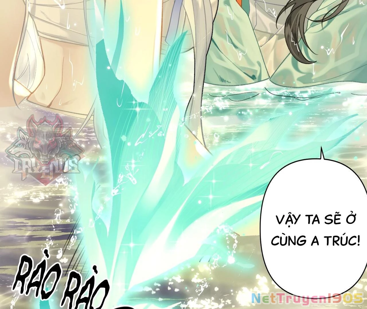 Đông Hải Tìm Mỹ Nhân Chapter 10 - Trang 13