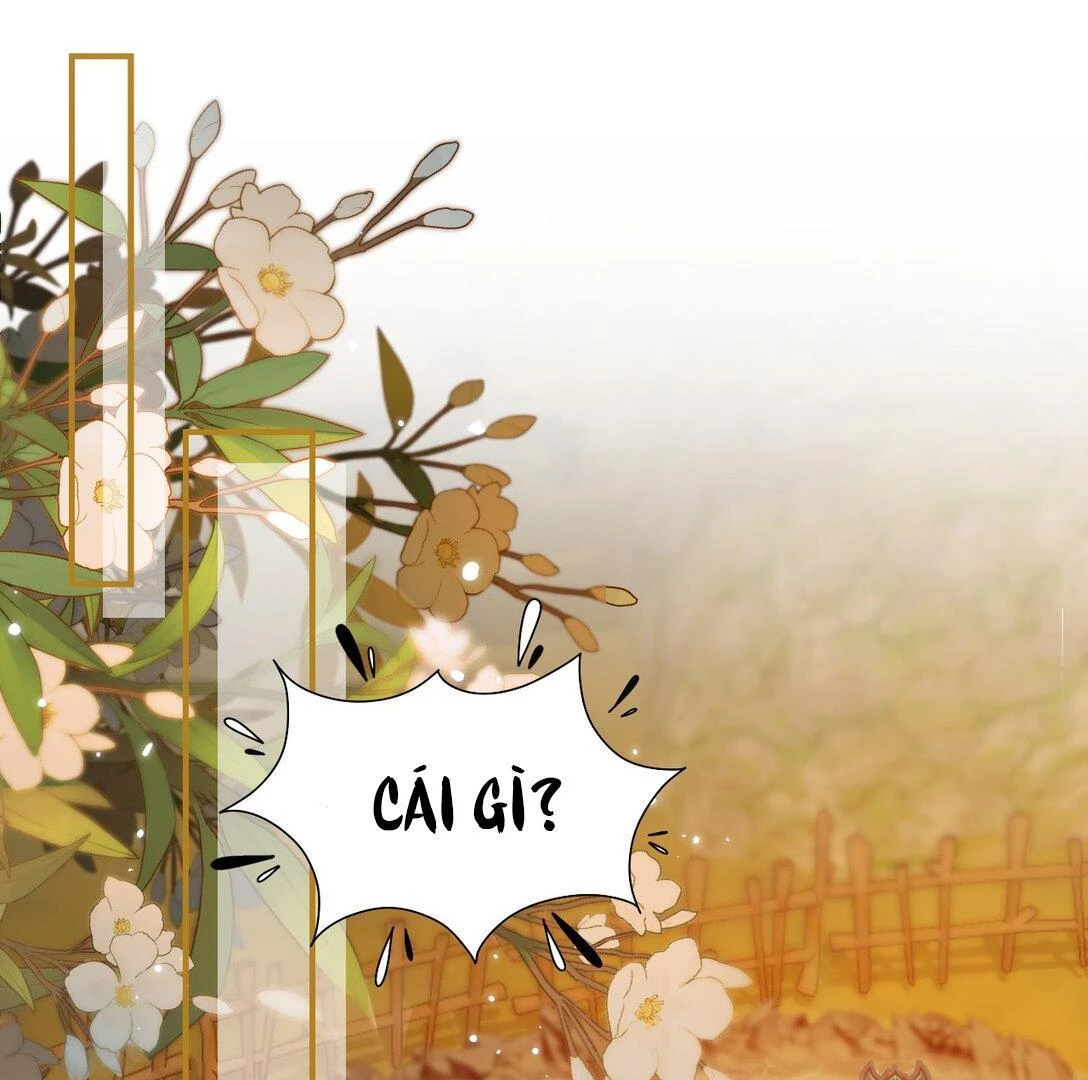 Đông Hải Tìm Mỹ Nhân Chapter 12 - Trang 31