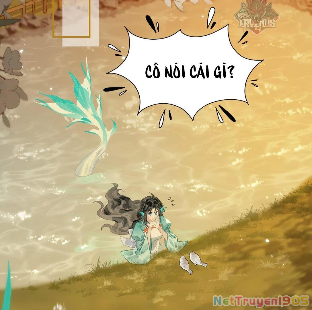 Đông Hải Tìm Mỹ Nhân Chapter 12 - Trang 32