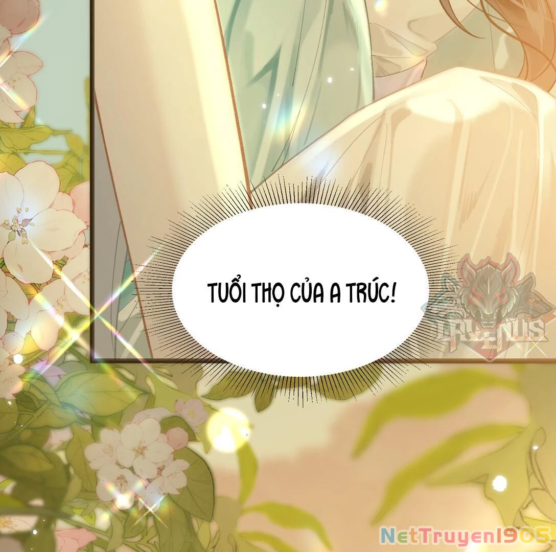 Đông Hải Tìm Mỹ Nhân Chapter 13 - Trang 10