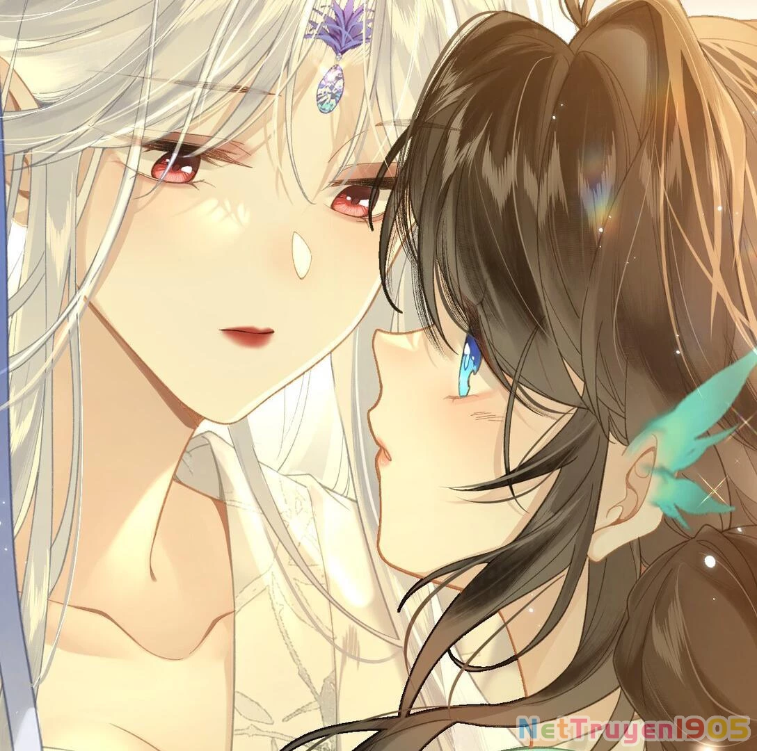 Đông Hải Tìm Mỹ Nhân Chapter 13 - Trang 12