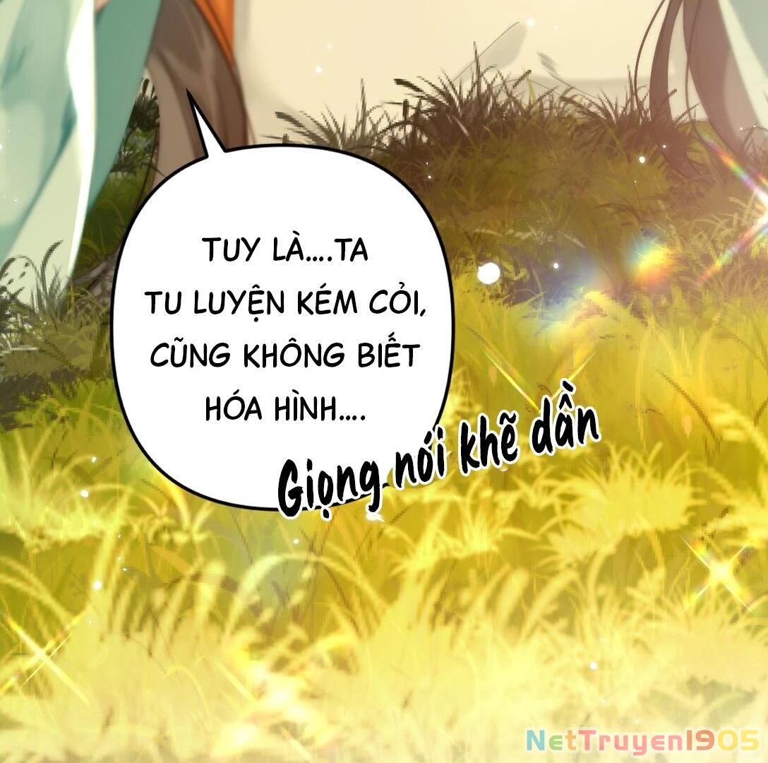 Đông Hải Tìm Mỹ Nhân Chapter 13 - Trang 33