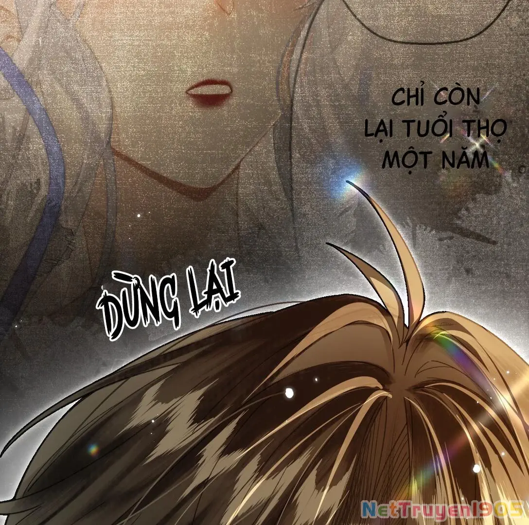Đông Hải Tìm Mỹ Nhân Chapter 13 - Trang 41