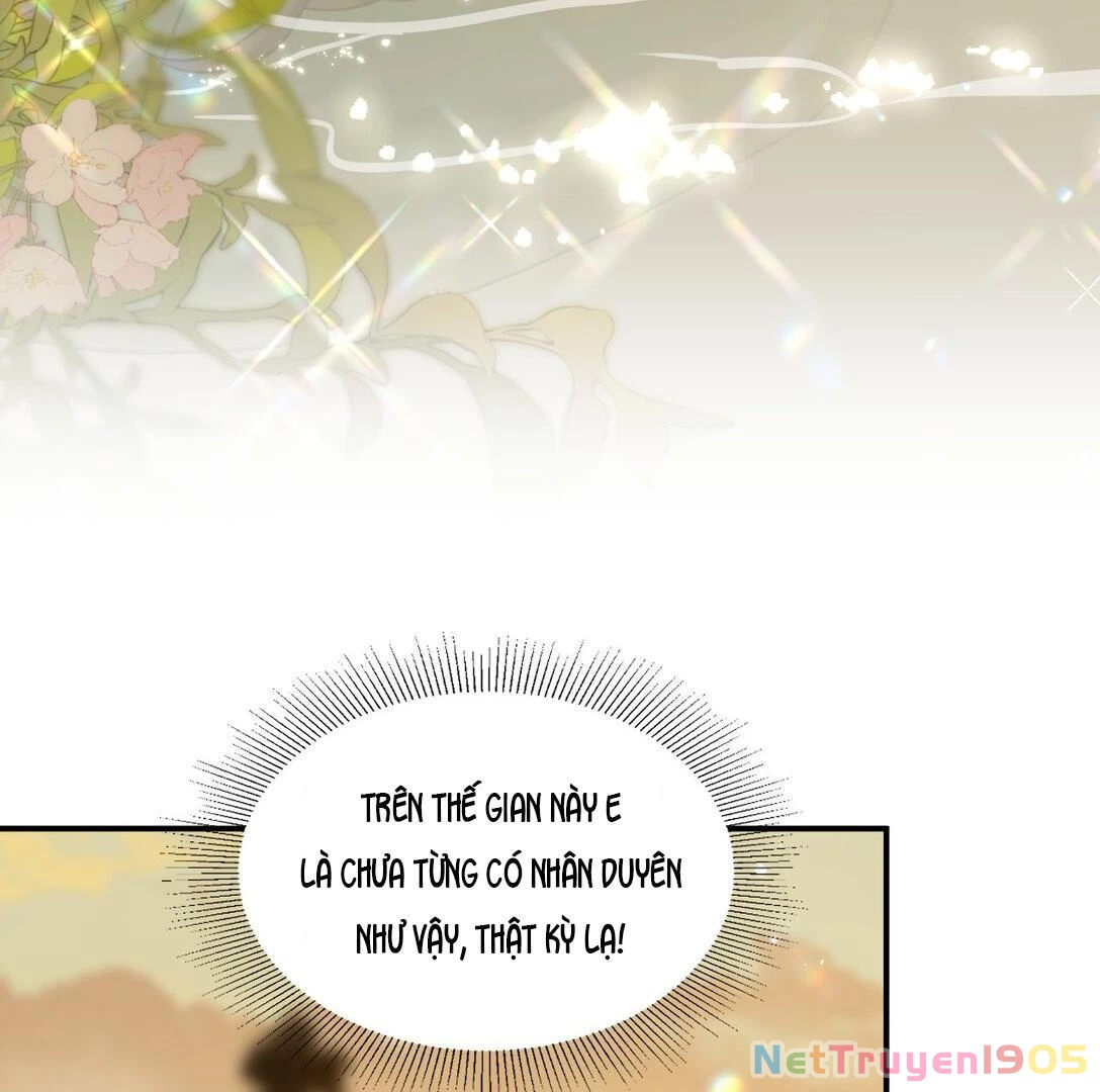 Đông Hải Tìm Mỹ Nhân Chapter 13 - Trang 48