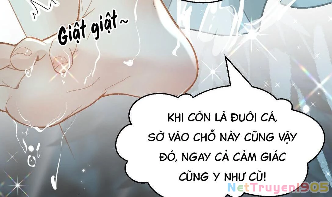 Đông Hải Tìm Mỹ Nhân Chapter 15 - Trang 16