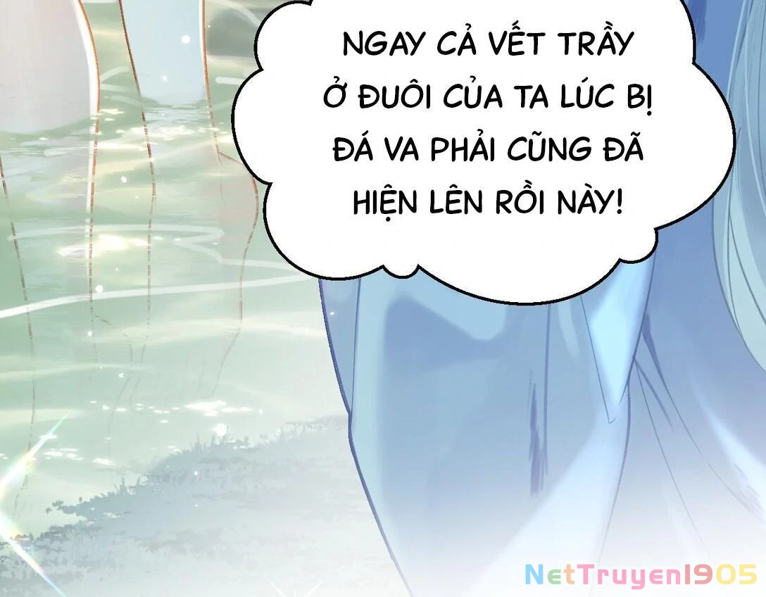 Đông Hải Tìm Mỹ Nhân Chapter 15 - Trang 9