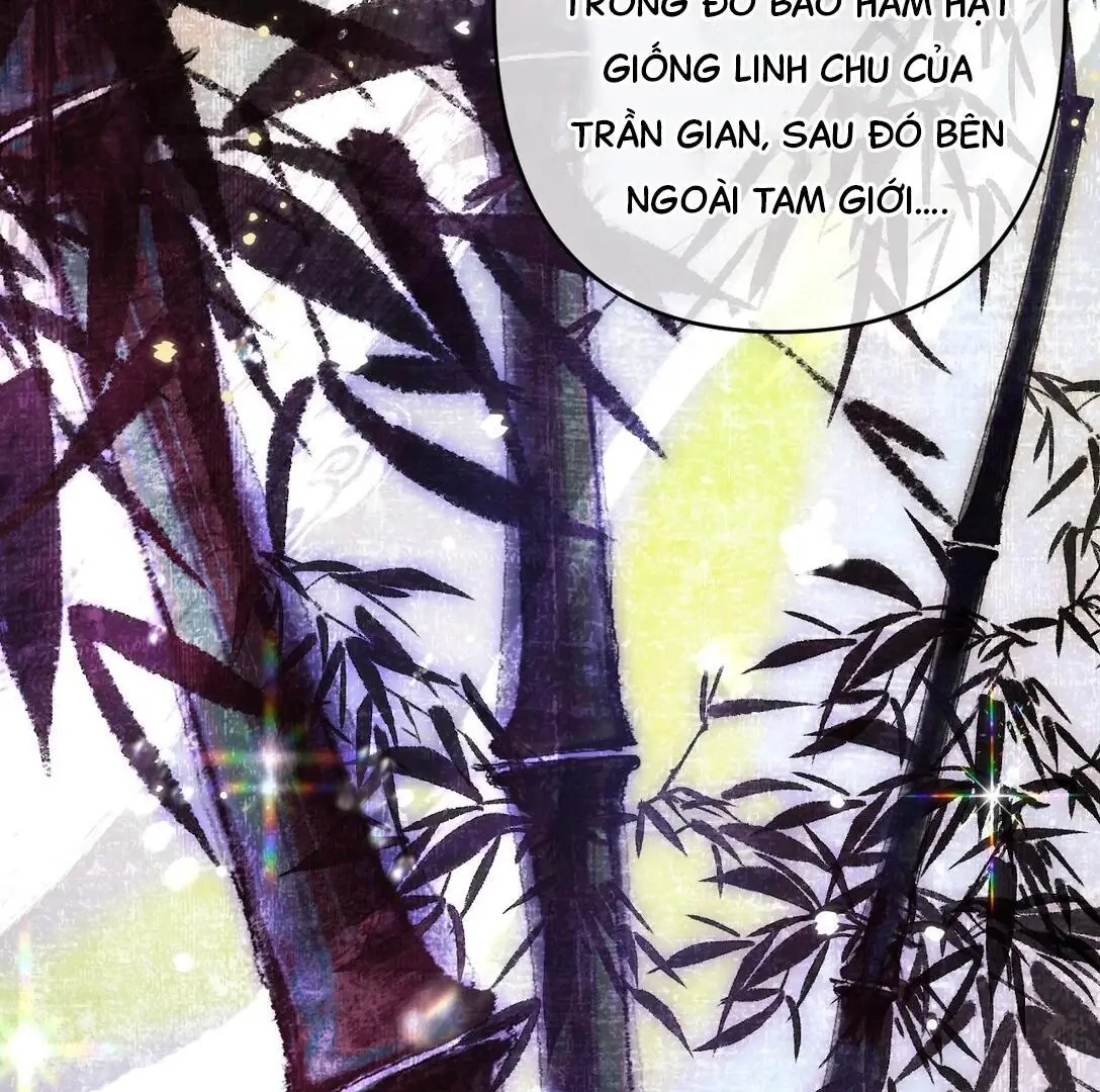 Đông Hải Tìm Mỹ Nhân Chapter 16 - Trang 13