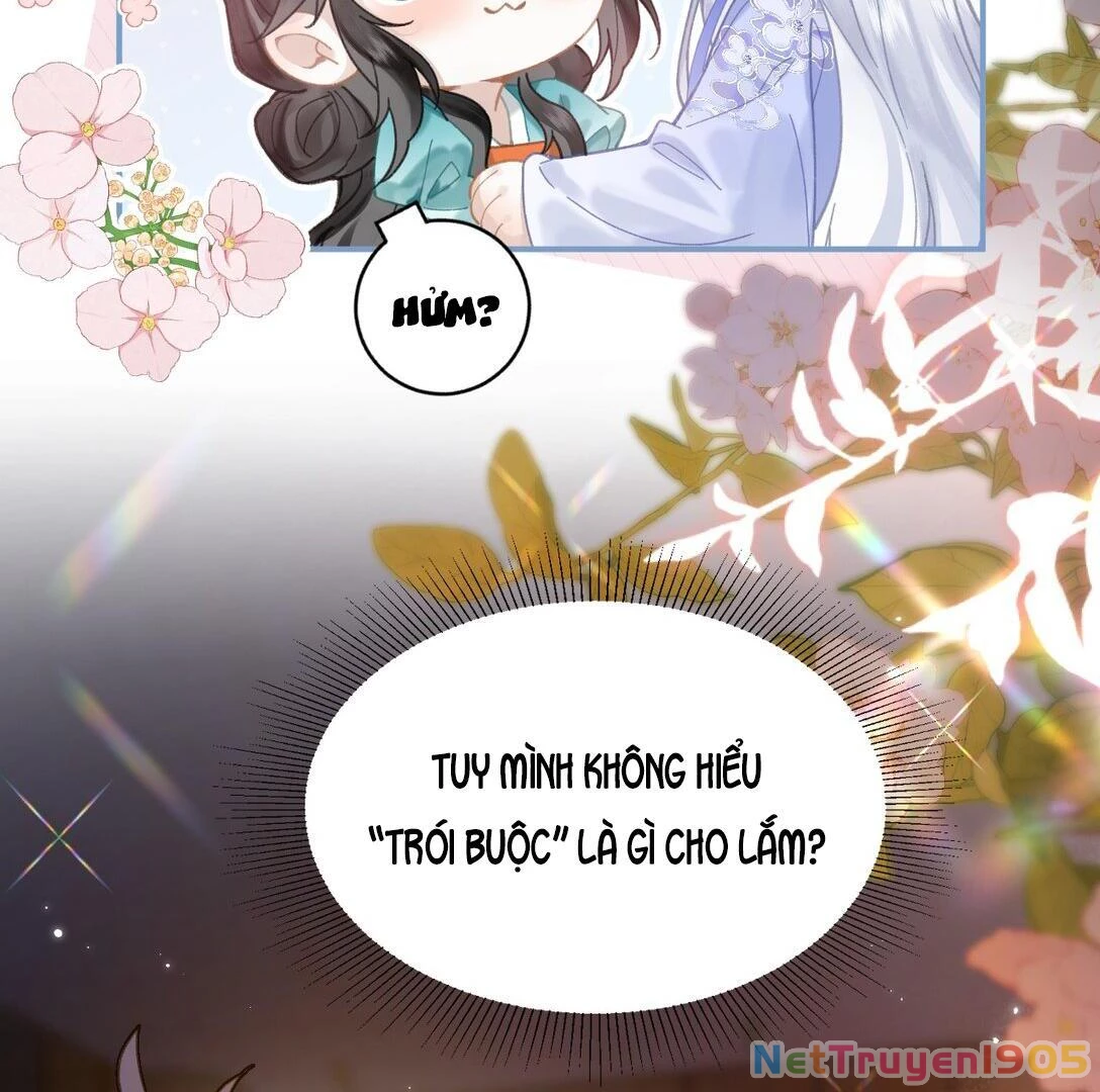 Đông Hải Tìm Mỹ Nhân Chapter 17 - Trang 21
