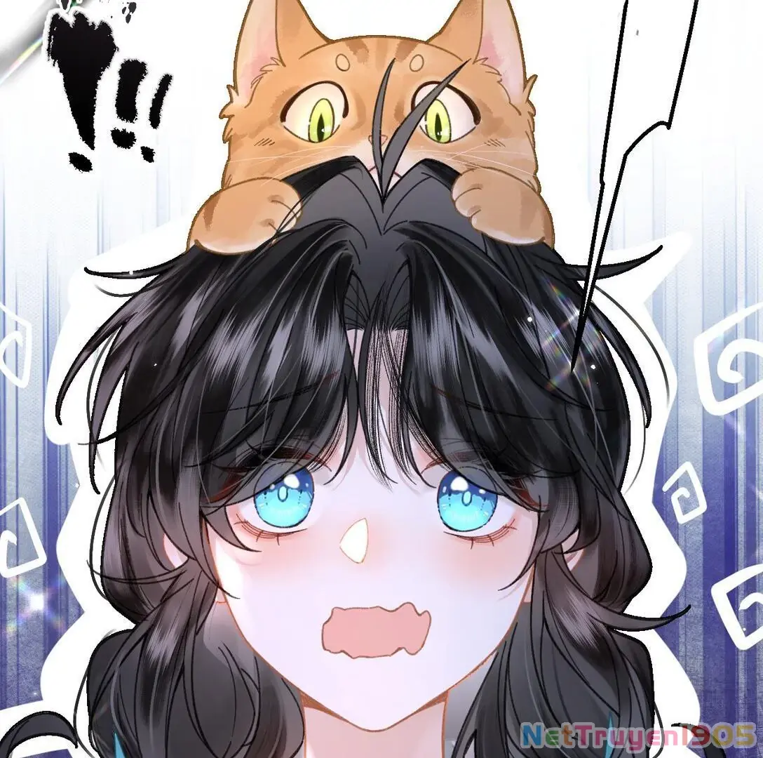 Đông Hải Tìm Mỹ Nhân Chapter 17 - Trang 36
