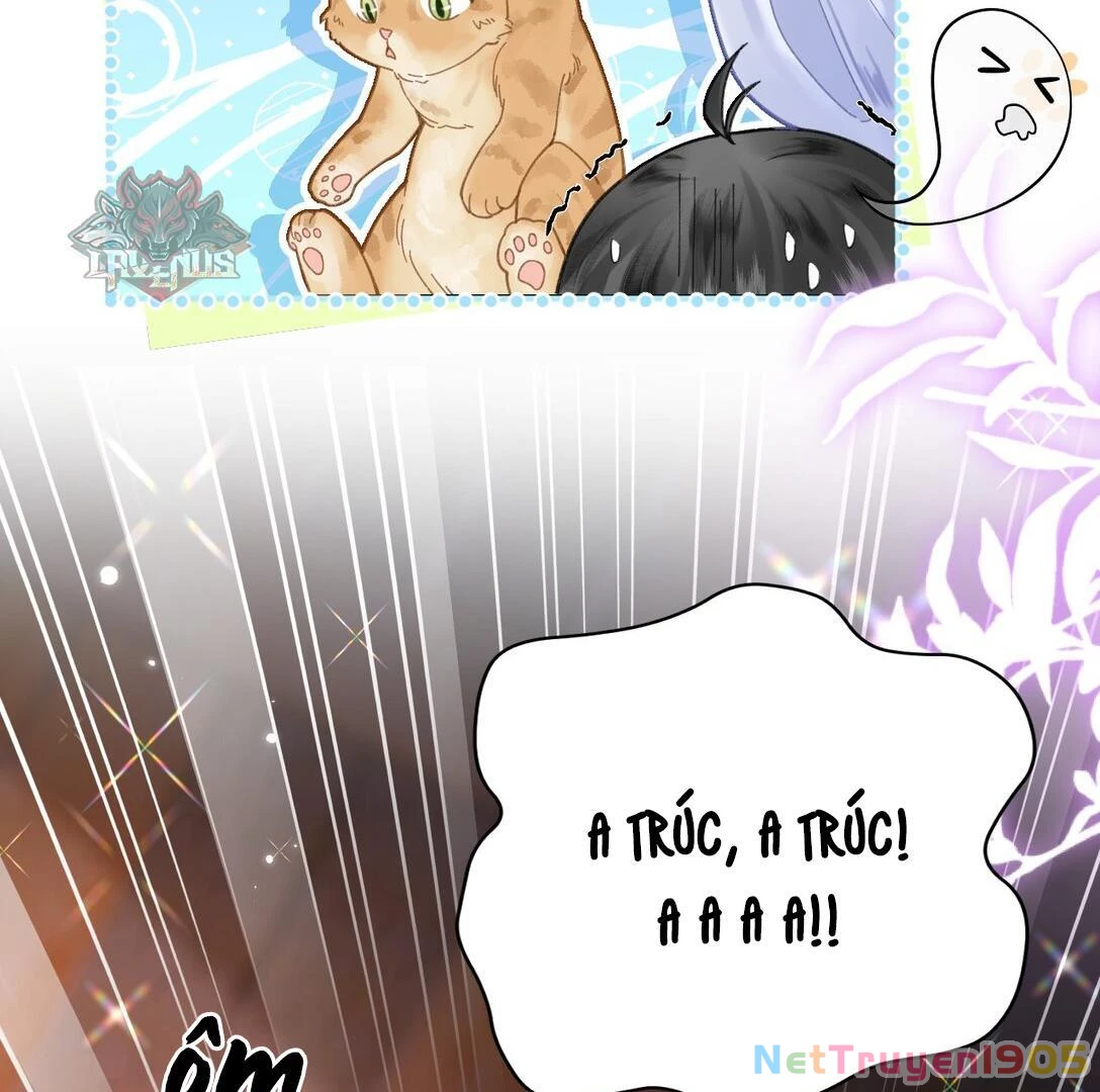 Đông Hải Tìm Mỹ Nhân Chapter 17 - Trang 41