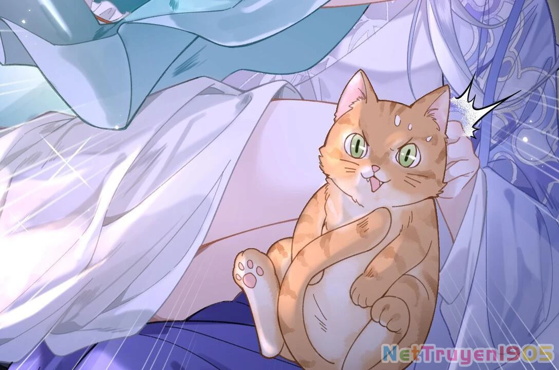Đông Hải Tìm Mỹ Nhân Chapter 17 - Trang 43