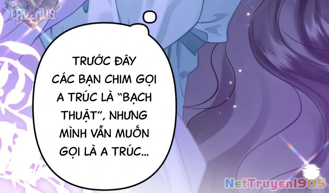 Đông Hải Tìm Mỹ Nhân Chapter 18 - Trang 28