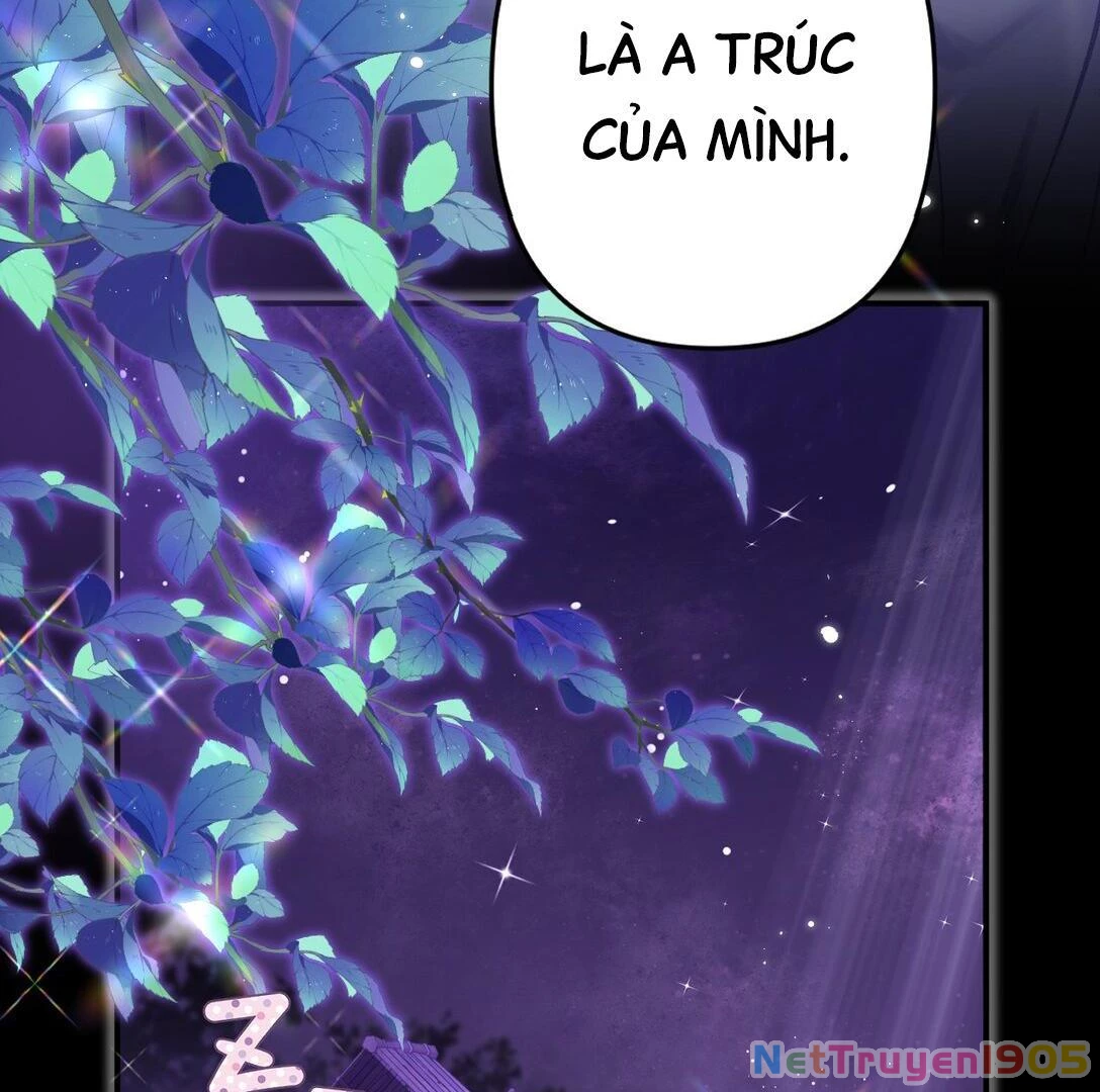 Đông Hải Tìm Mỹ Nhân Chapter 18 - Trang 32