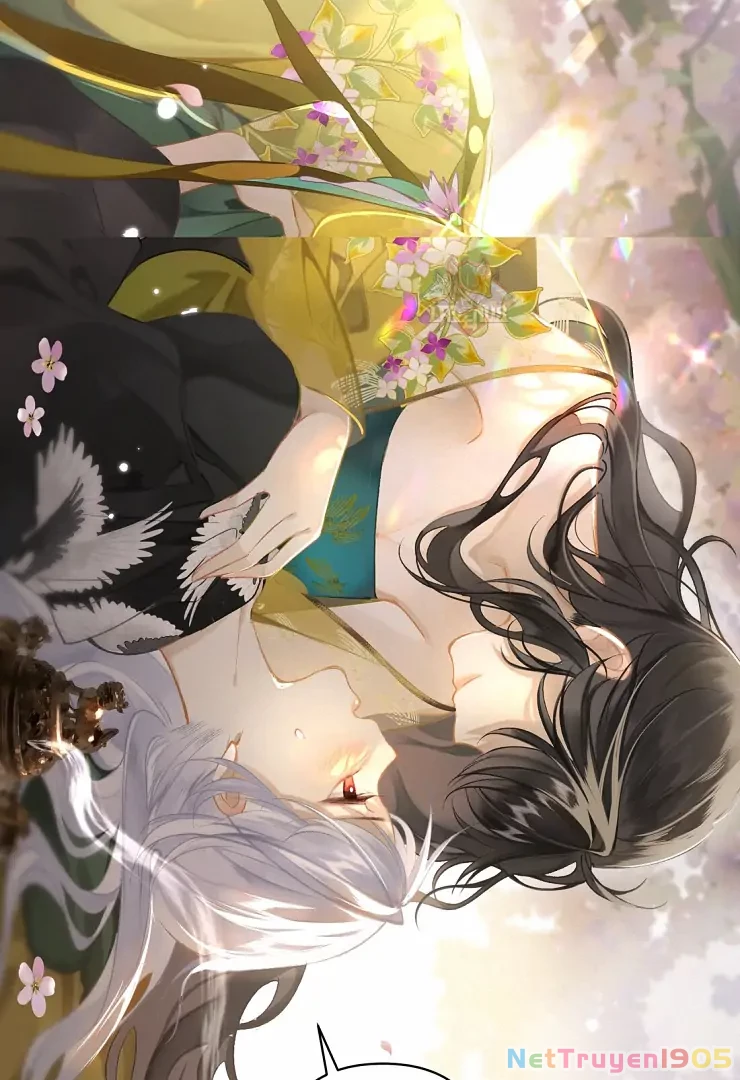 Đông Hải Tìm Mỹ Nhân Chapter 2 - Trang 35