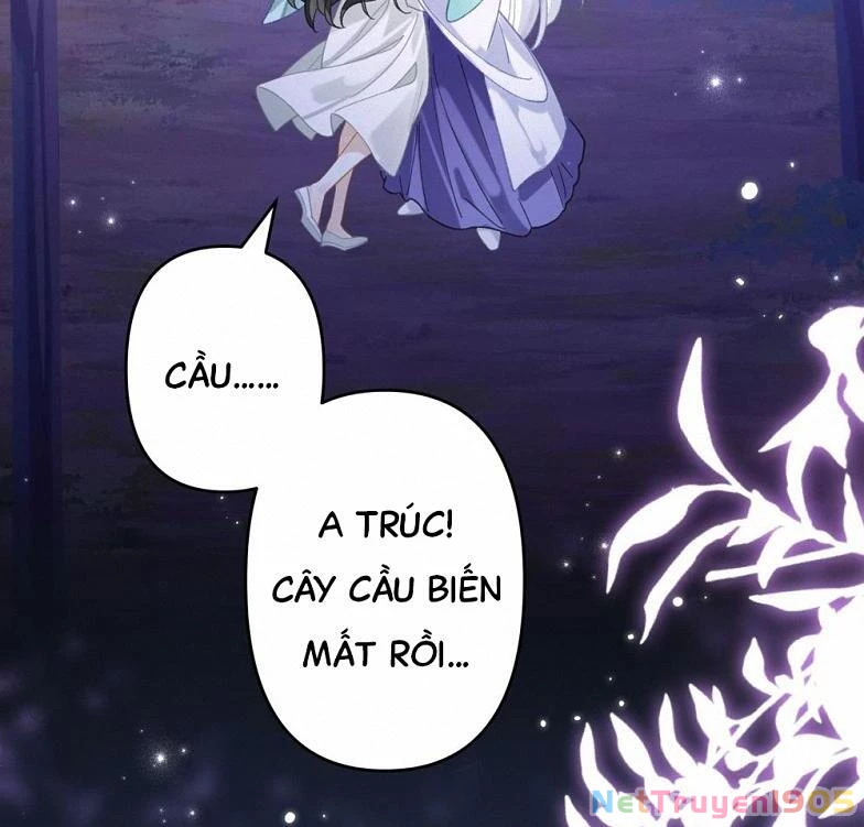 Đông Hải Tìm Mỹ Nhân Chapter 20 - Trang 13