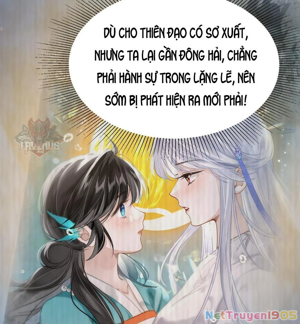 Đông Hải Tìm Mỹ Nhân Chapter 21 - Trang 12
