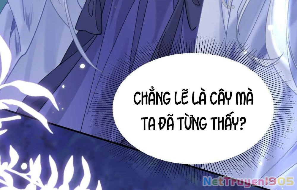 Đông Hải Tìm Mỹ Nhân Chapter 21 - Trang 25