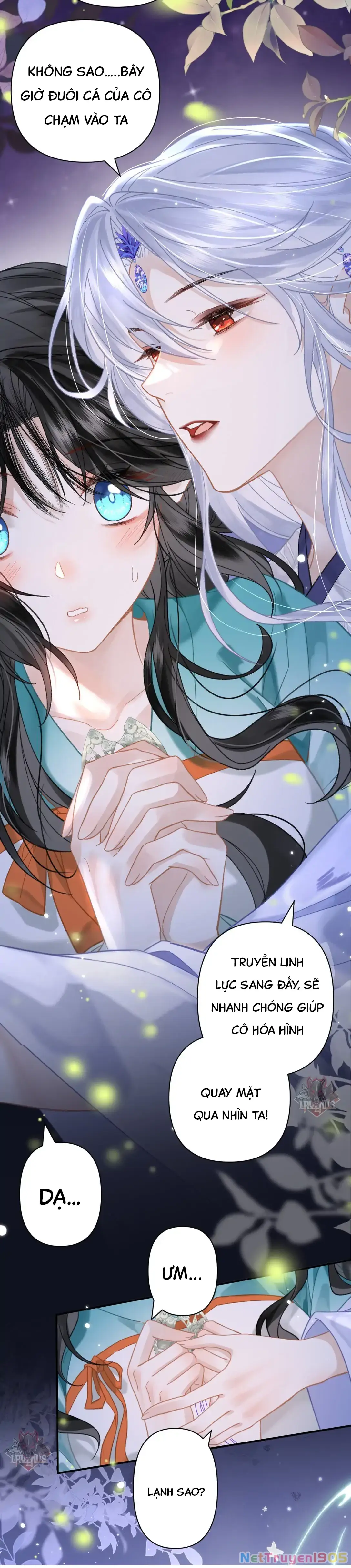 Đông Hải Tìm Mỹ Nhân Chapter 22 - Trang 21