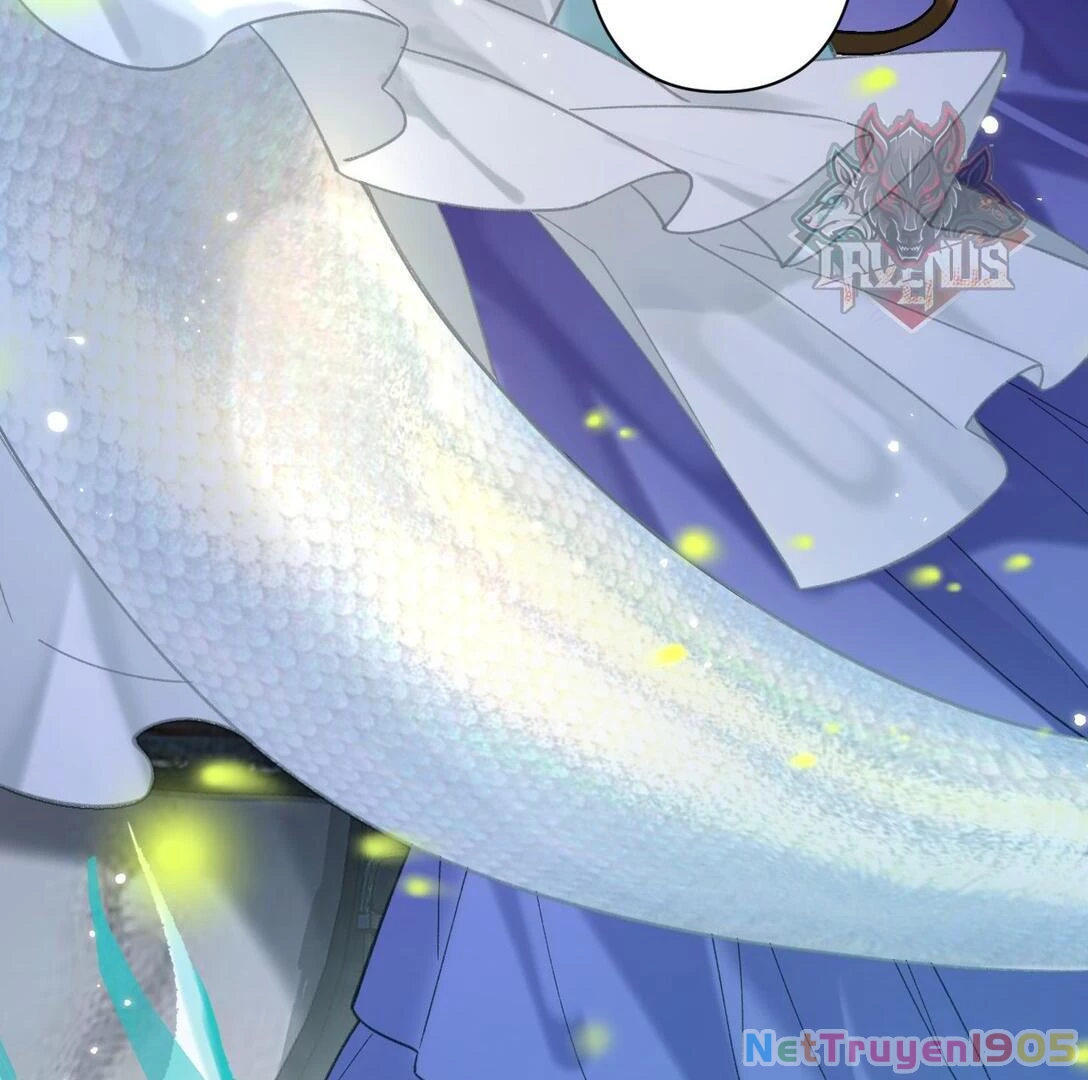 Đông Hải Tìm Mỹ Nhân Chapter 22 - Trang 5