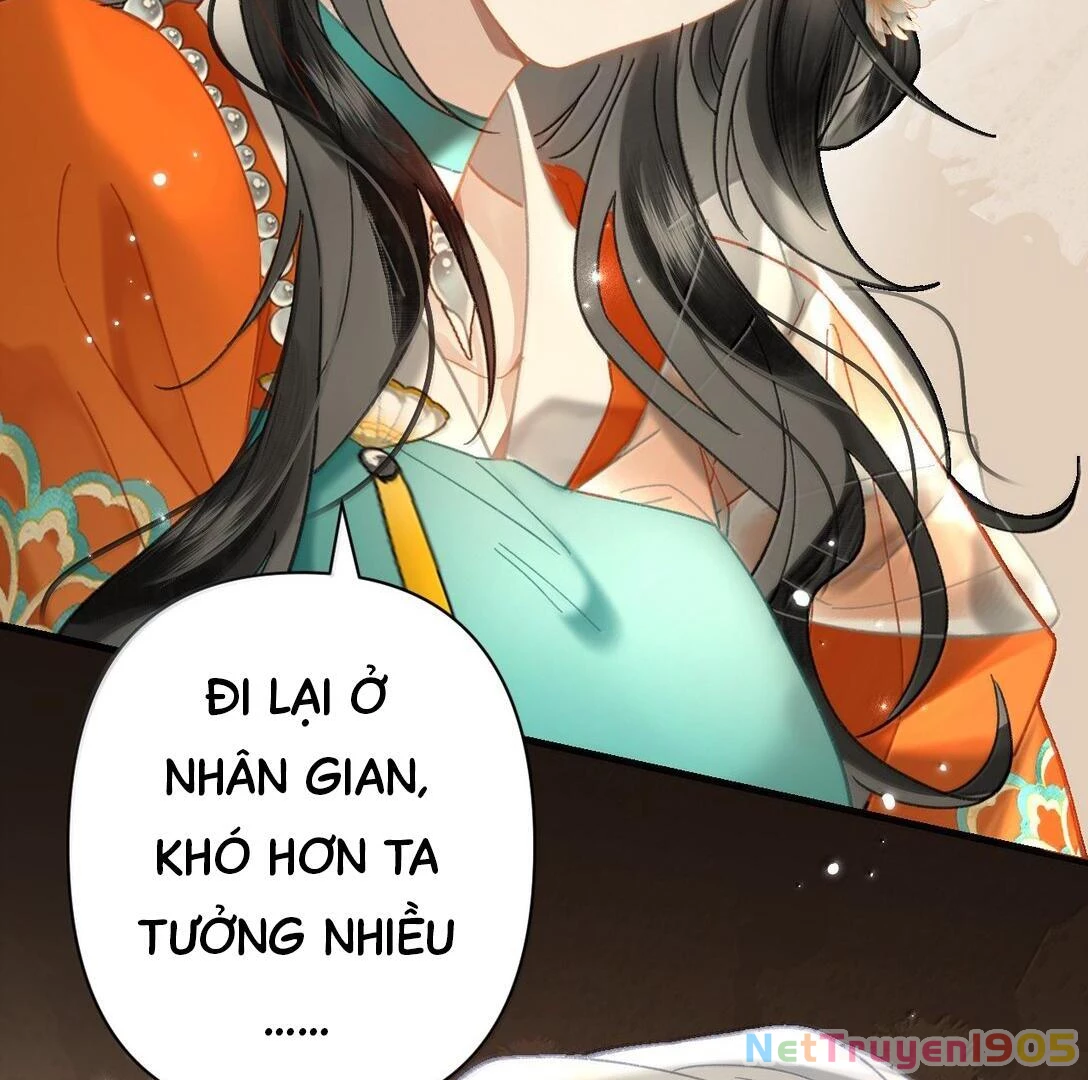 Đông Hải Tìm Mỹ Nhân Chapter 24 - Trang 10